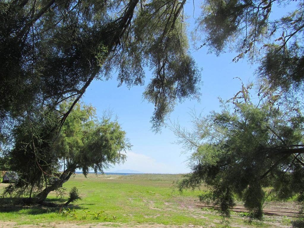 Camping Miami Plage Hotel Poggio Mezzana Екстериор снимка