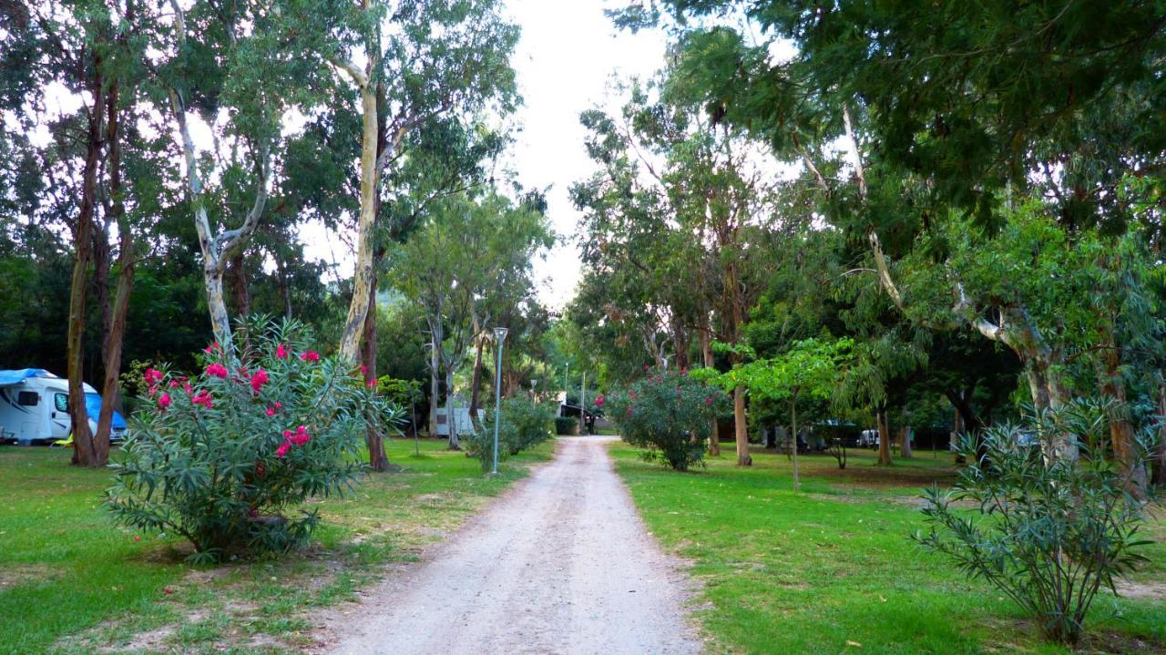 Camping Miami Plage Hotel Poggio Mezzana Екстериор снимка